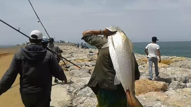 背着大鱼回家这是钓鱼人赤裸裸的炫耀啊好气