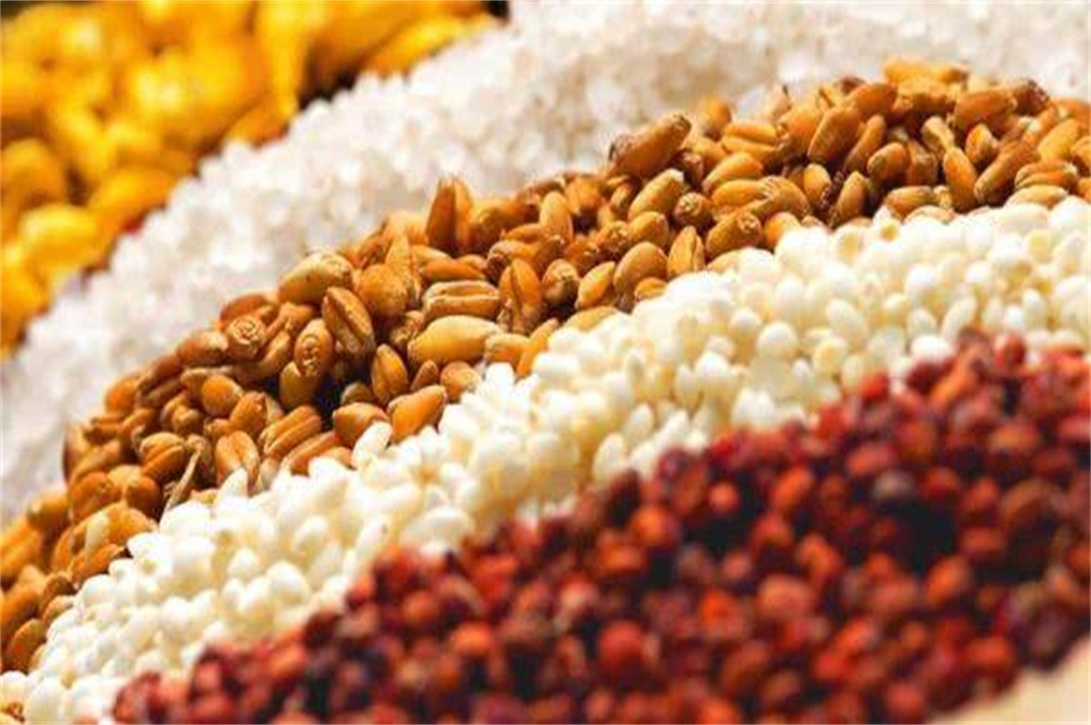 新工艺酿酒技术:小麦酿酒需要煮熟吗?小麦酿酒过程