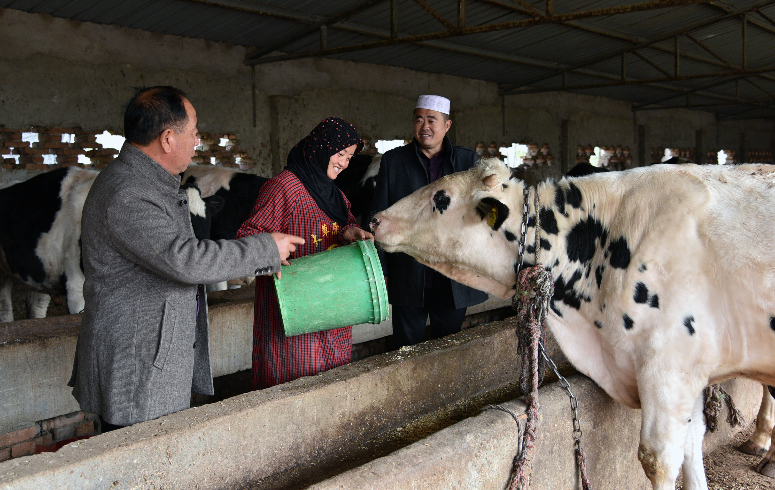 砀山县回民许庄村:回汉一家奔小康