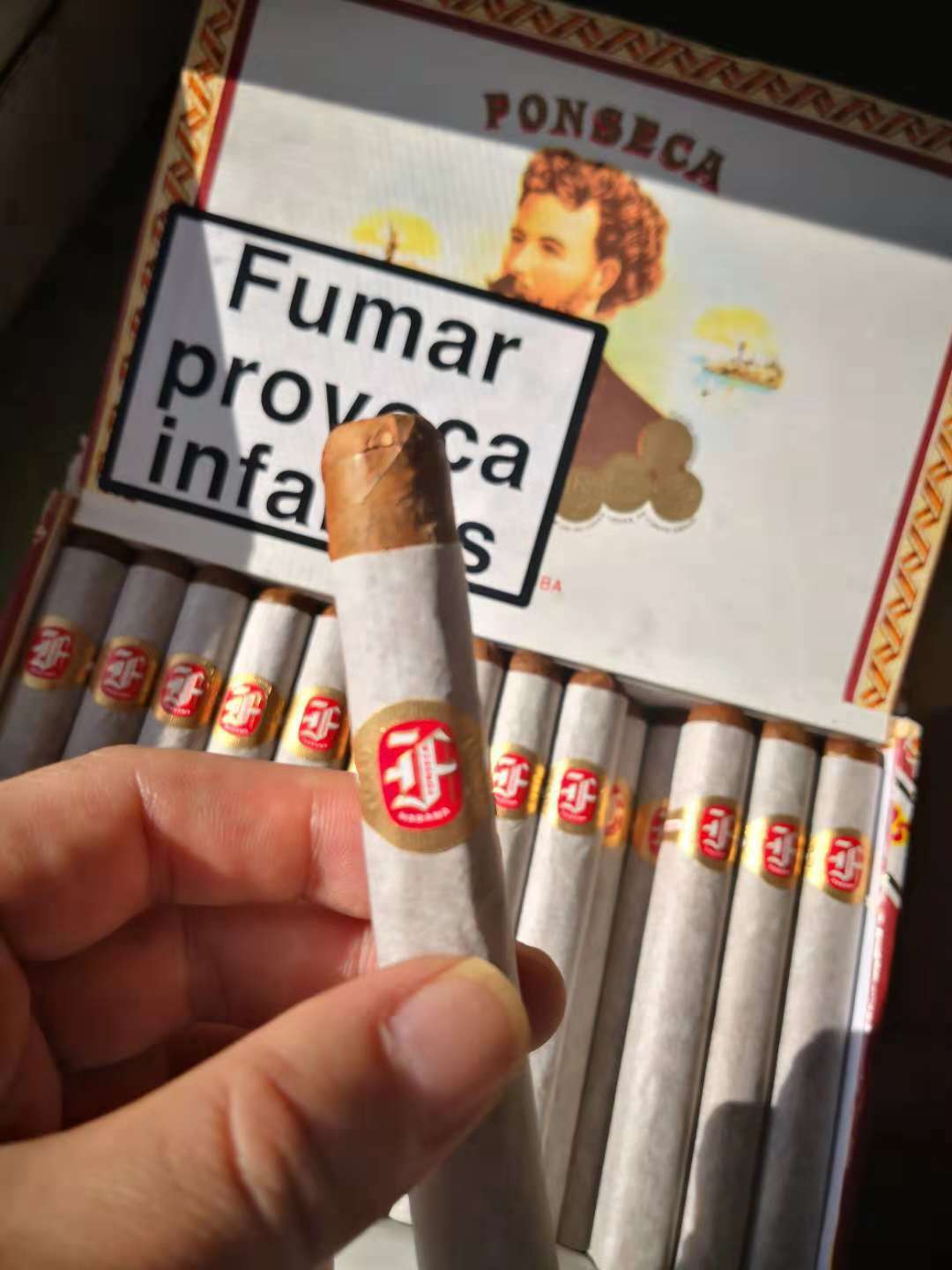 丰塞卡-滋味 fonseca delicias