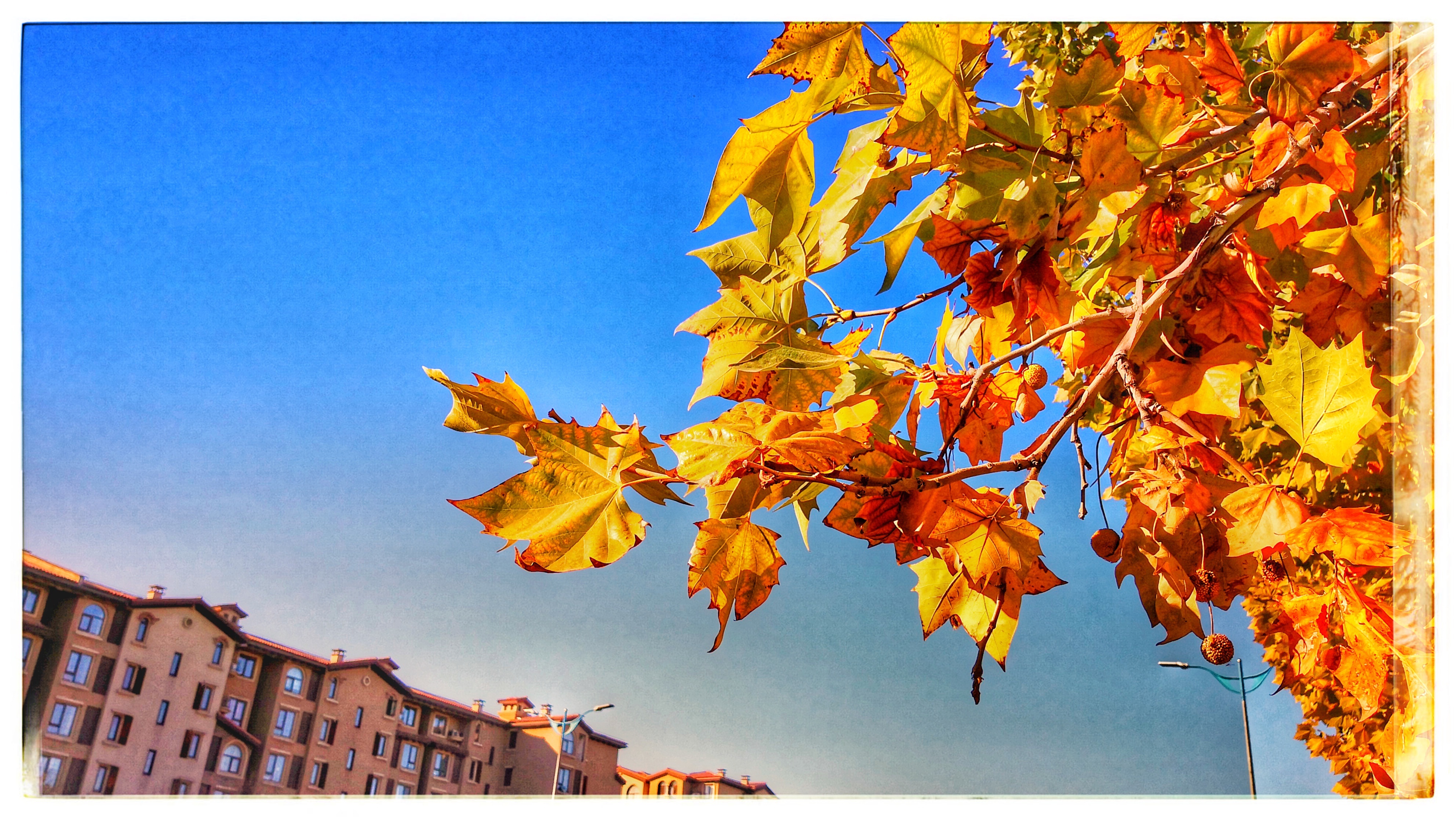 初冬暖阳__凤凰网