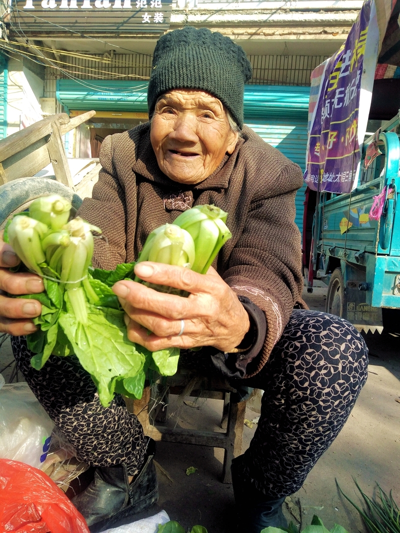 阳光下,老人佝偻着腰身,白发尽显沧桑,皱纹里写满故事.