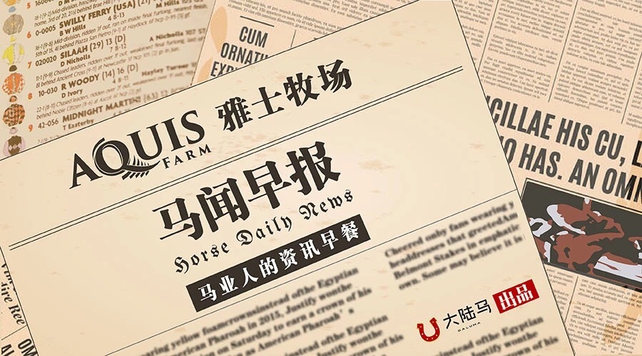 麒麟马术头盔马术新闻法媒马术在中国不只是一项体育运动