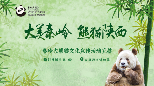 大美秦岭熊猫陕西秦岭大熊猫文化宣传活动