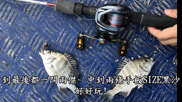 船釣黑鯛魚魚竿一提上來兩條魚