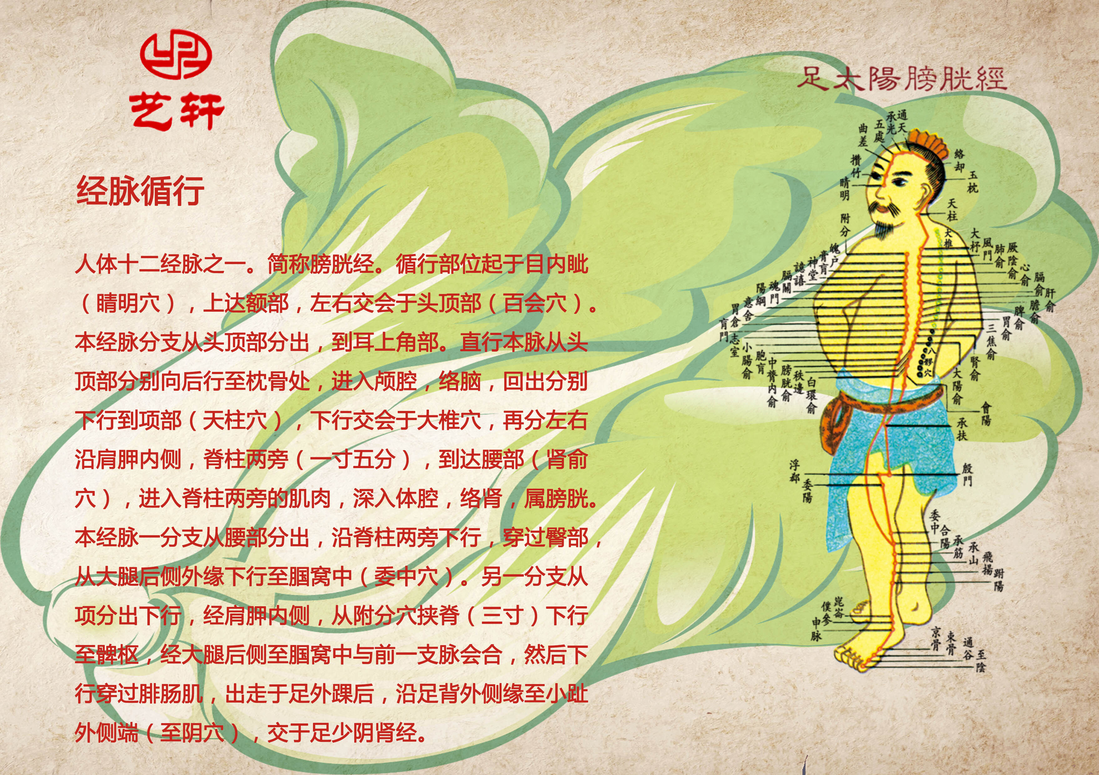 十二时辰和人体经络时表