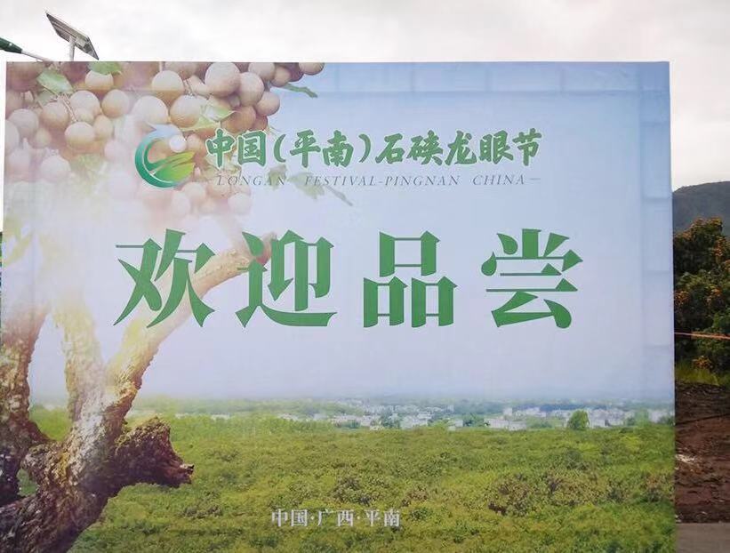 一起去看看中国石硖龙眼之乡——广西平南的石硖龙眼是怎样的吧__凤凰
