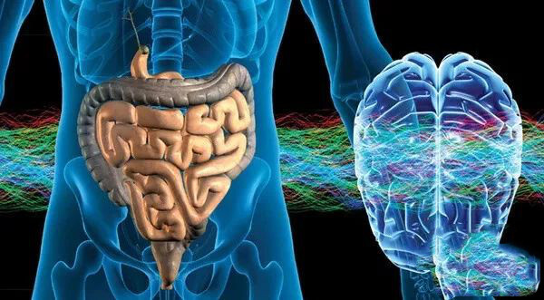 人体70免疫力都来自这里你知道吗