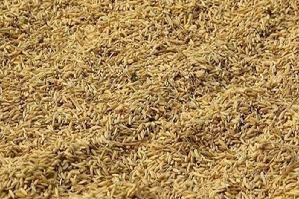 纯粮食酒-熟料谷酒如何发酵,谷子酿酒技术__凤凰网