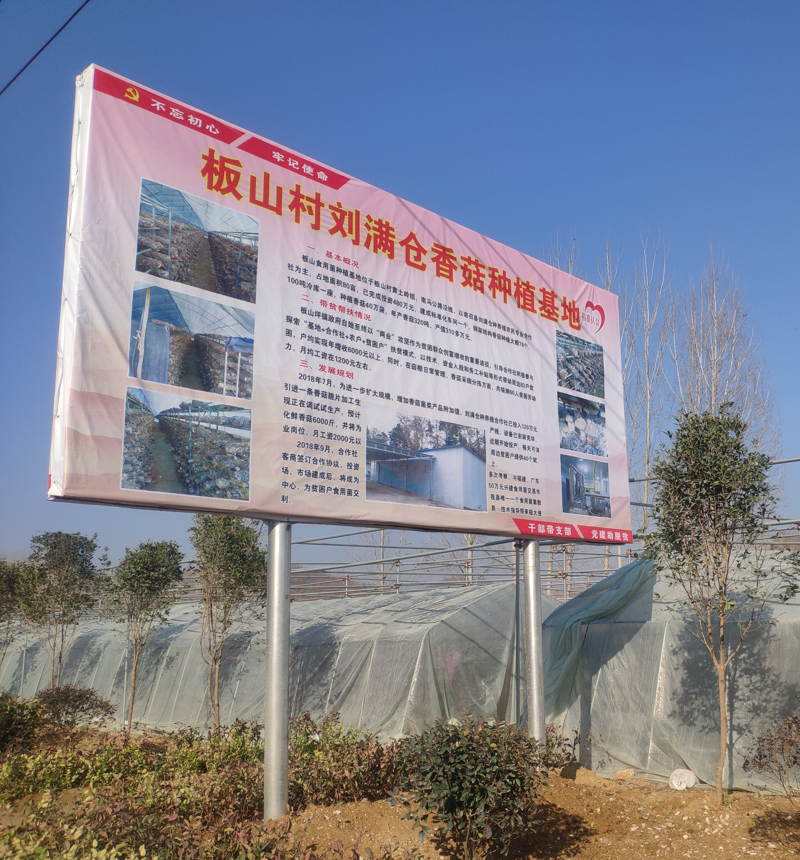 板山坪镇四举措紧抓扶贫产业助力脱贫攻坚__凤凰网