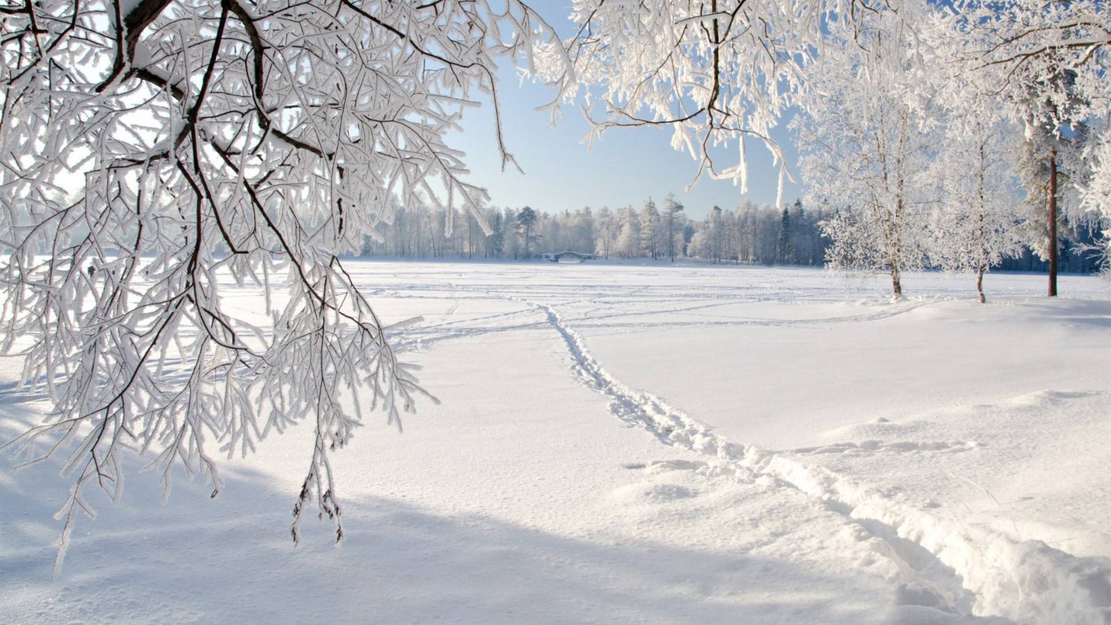 北方有千里冰封,万里雪飘的自然景观,南方也有雪花飞舞,漫天银色