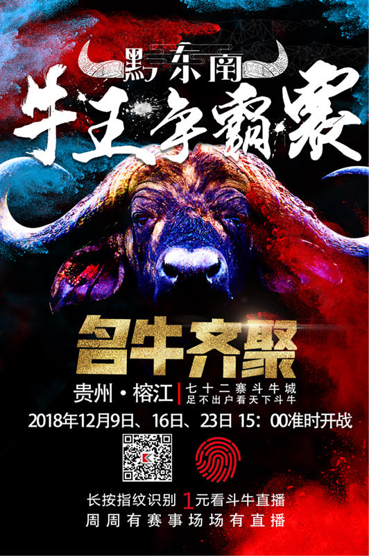 里七十二寨斗牛小镇为精神主旨的导向标正是侗族人民所倡导的文化传承