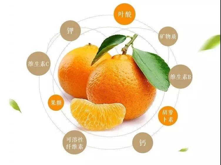 春见·耙耙柑,小蜜淘给你带来一场冬日蜜恋!