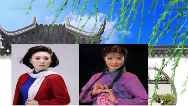 风吹杨柳条条线黄梅戏五朵金花演唱真国风韵味长淳朴流畅