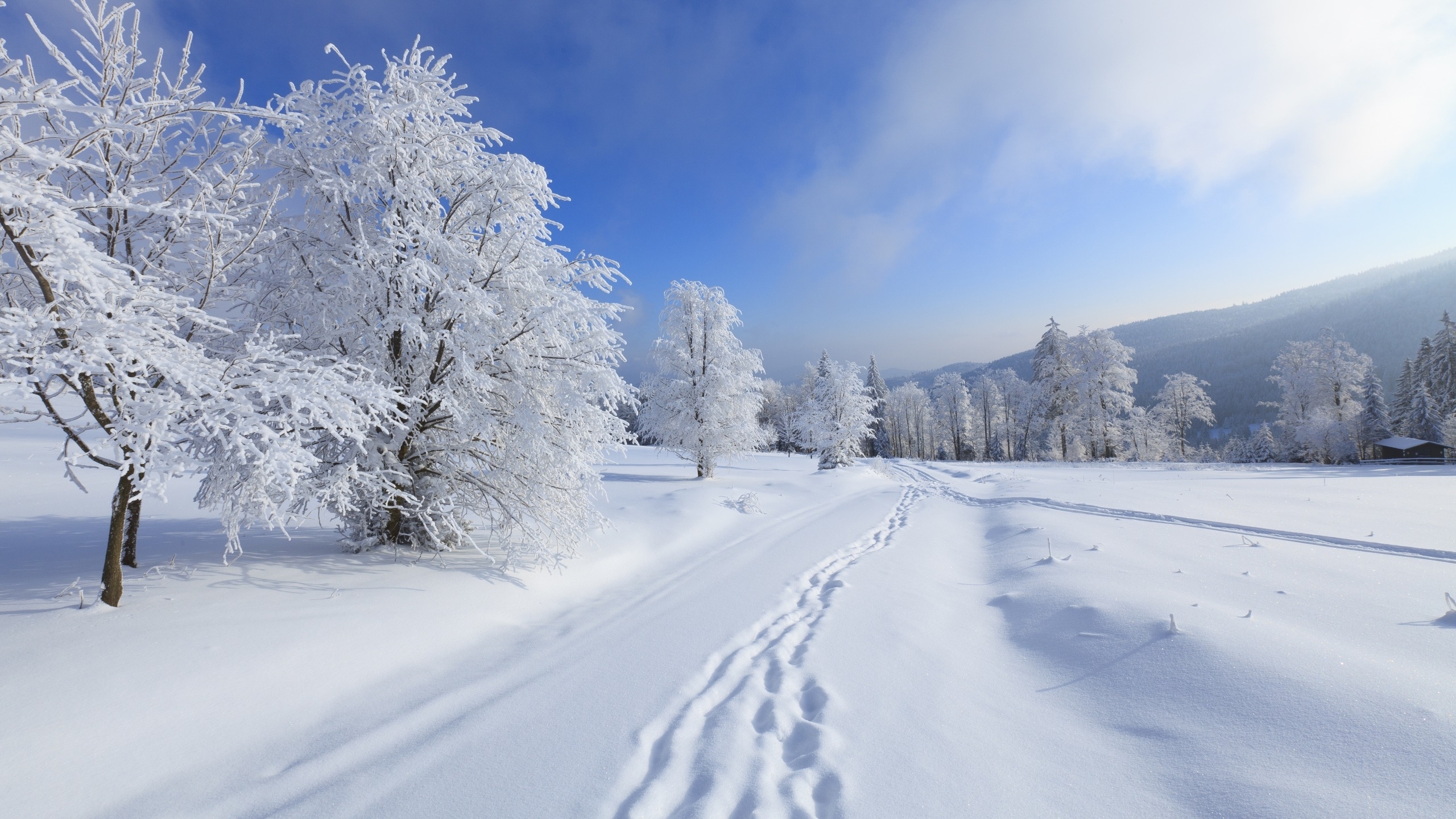 我站在雪地中