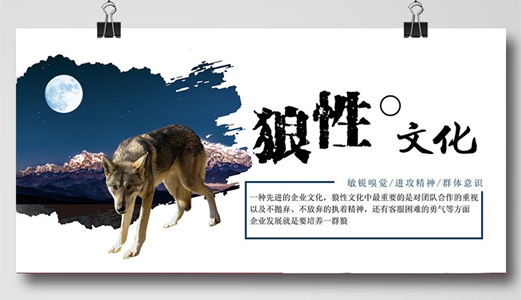 培养职场的狼性文化,到底靠什么？__凤凰网