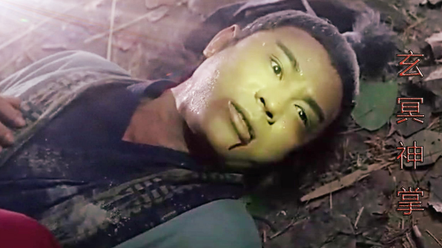 张无忌中玄冥神掌除了九阳神功其实还有一门武功能治疗