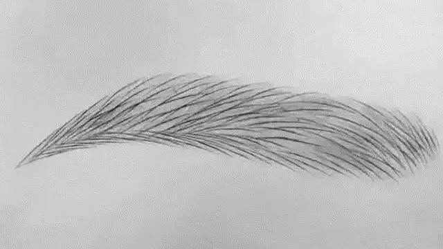 仿真皮上线条眉刻画手法的完整版视频讲解教程