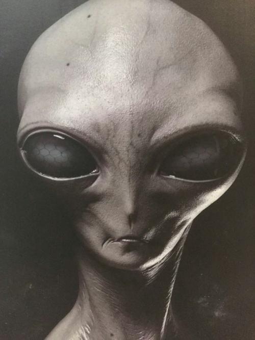 这些案子经常如此奇怪,它们一般要么是为人所忽略,要么就是丢弃一边.