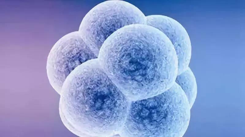 干细胞治疗——乌克兰国家的暴力技术