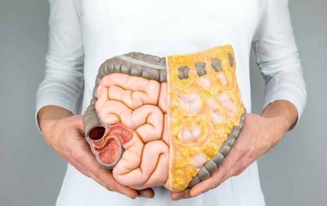 肠道堵塞便秘严重,大肚子,痘痘来袭,远离便秘2个小技巧搞定_凤凰网