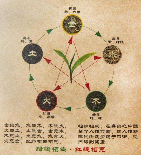 《内经》中谈到"君臣佐使" 药物中起主治作用的为君,起辅助作用的为臣