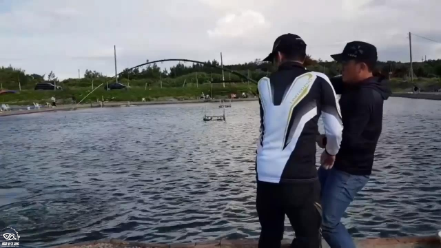 钓鱼老是打龟,来这里钓钓大石斑,重拾信心!_凤凰网视频_凤凰网