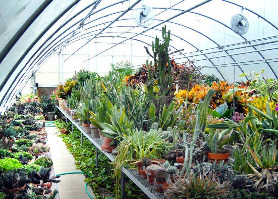 ​园林绿化工程中花卉栽植与养护技术__凤凰网