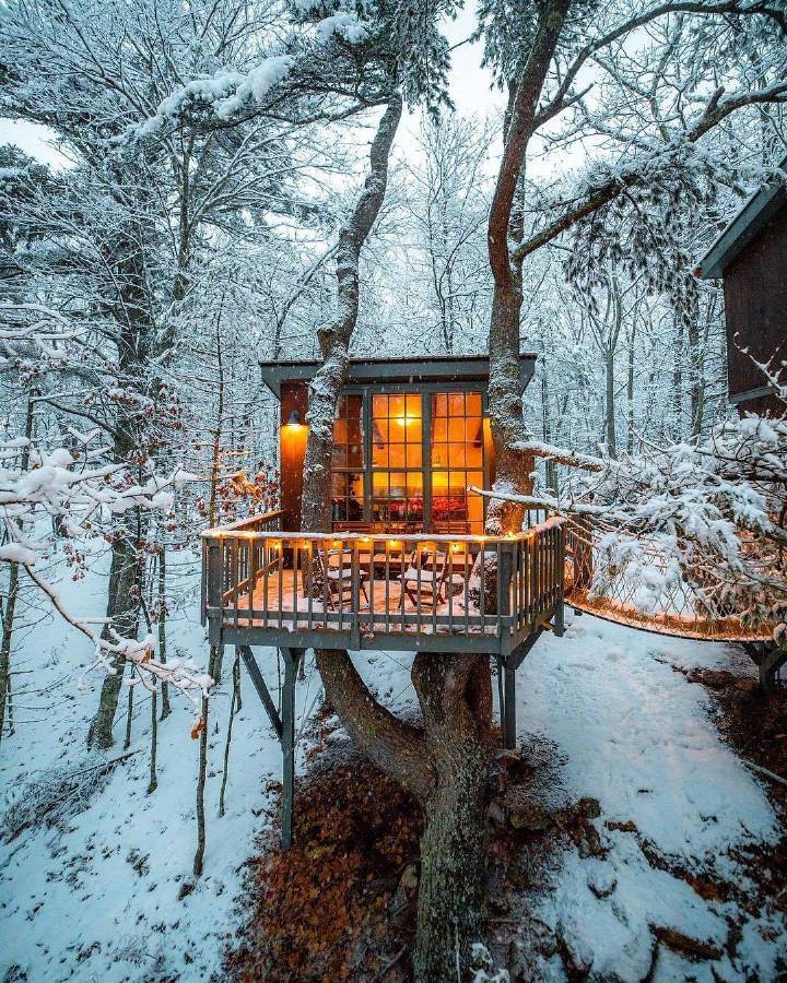 冬季林中小屋美轮美奂好想每个都住一晚