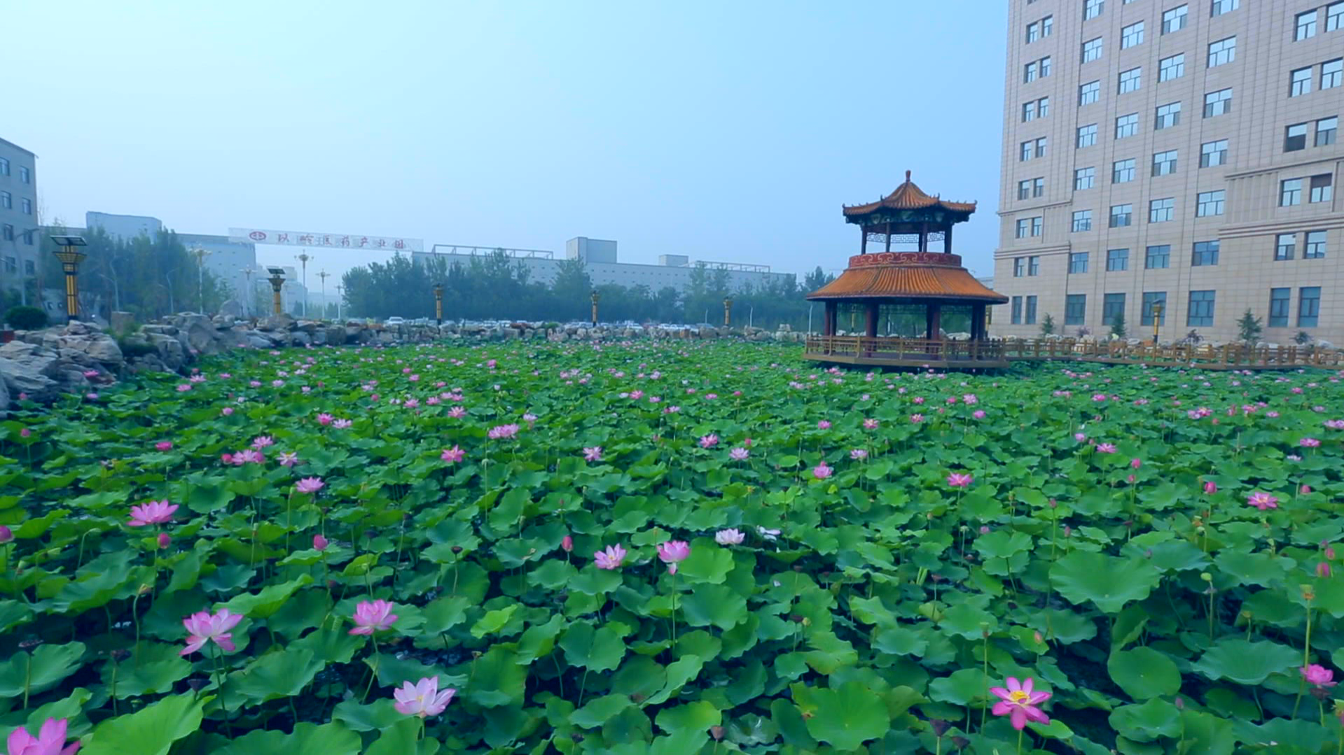 以岭医药产业园和以岭生态康养庄园双双获评河北省首批"大健康,新医疗