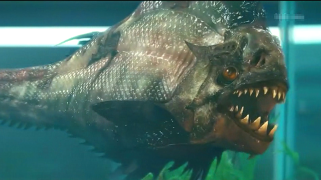 200万年前远古食人鱼复活后疯狂袭击人类从此成了水上霸主