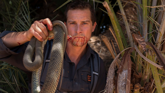 太倒霉了贝爷好不容易抓条蛇正烤着呢突然下起了大暴雨