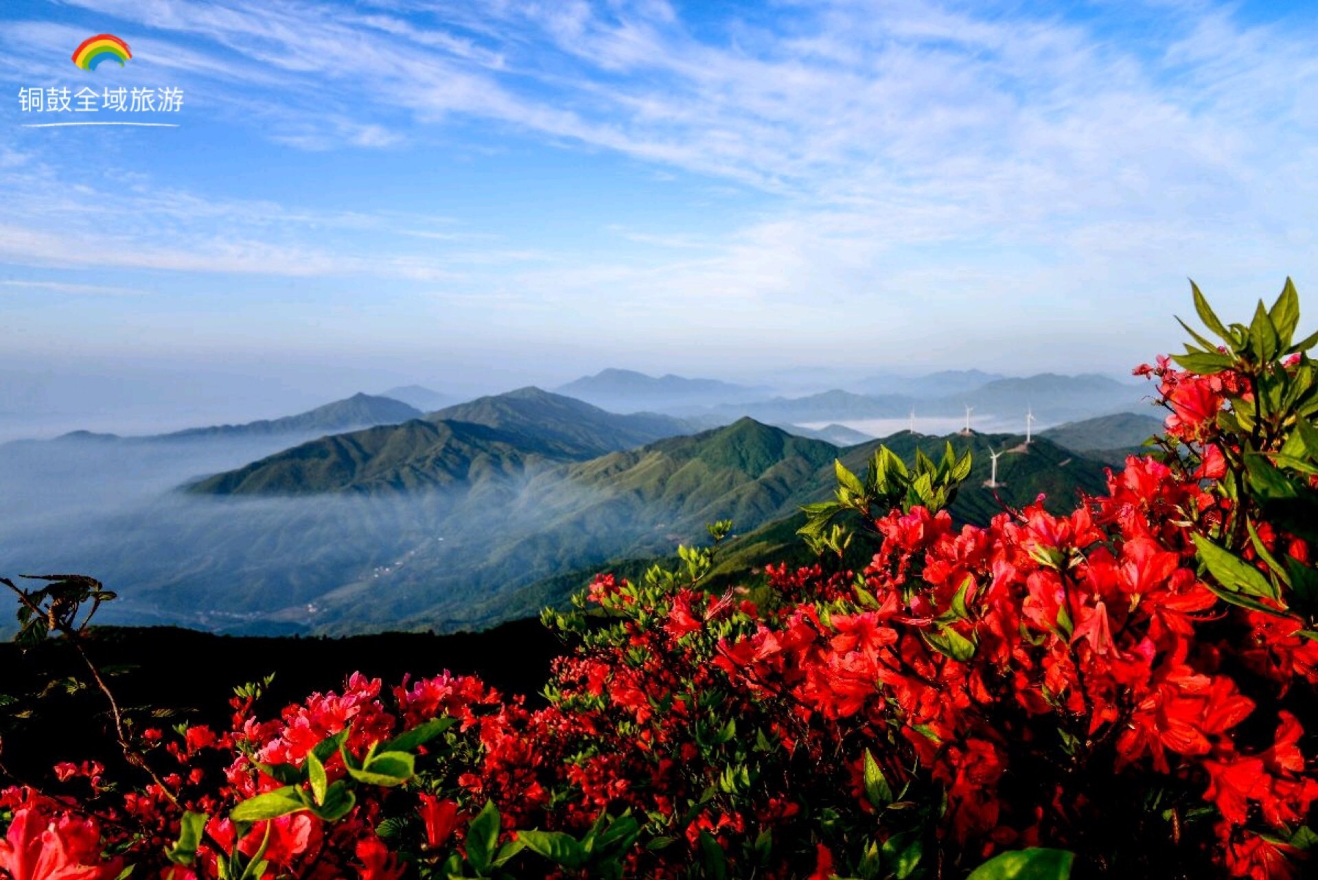 江西省铜鼓县旅游景点图片