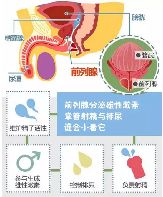 男人吃啥食物对前列腺比较好