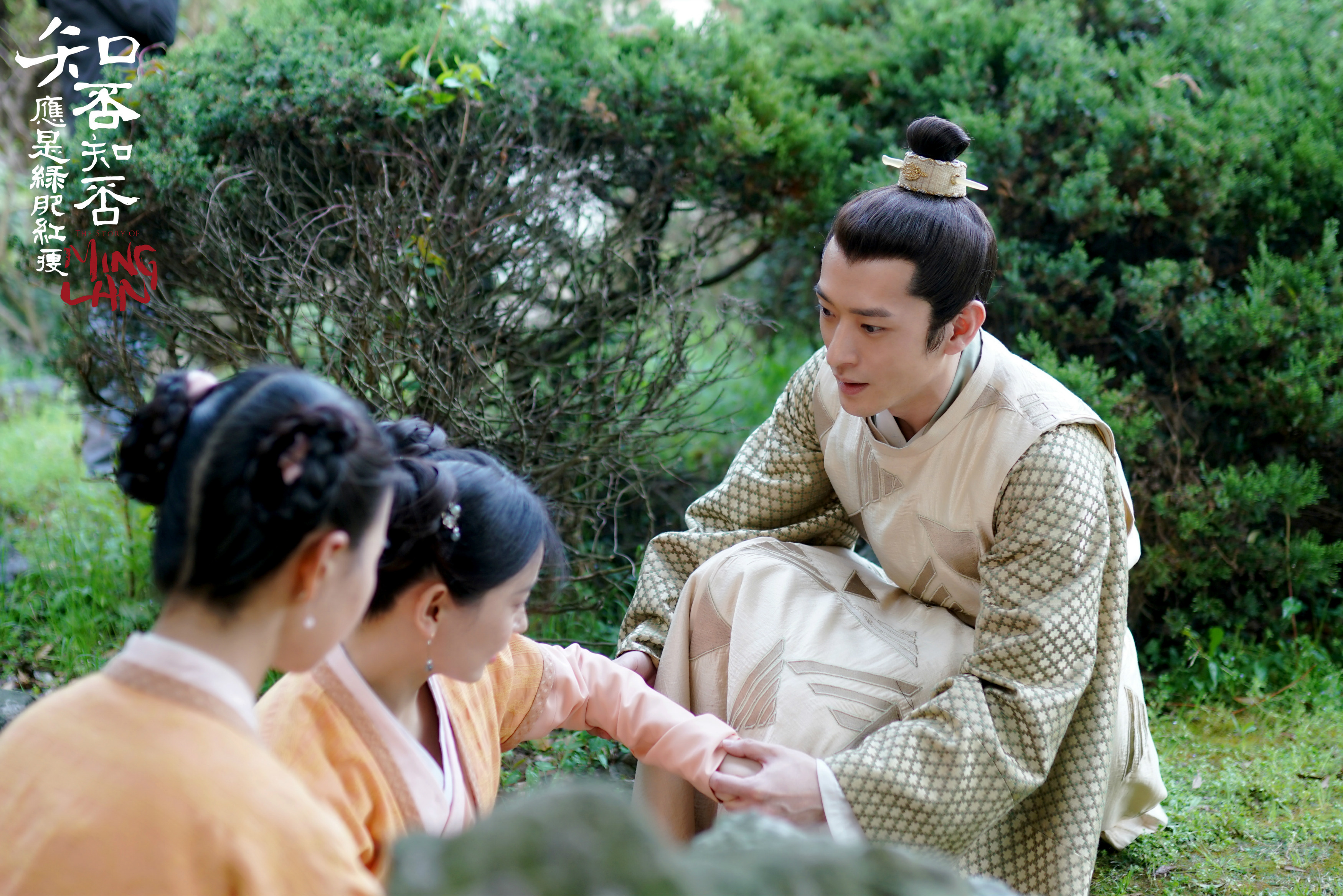 吴弘知否私会墨兰被发现私定终身风