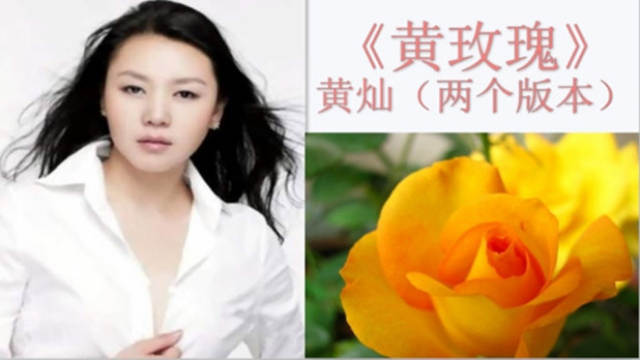 黄灿黄玫瑰受了伤别伤悲心中有爱就很美