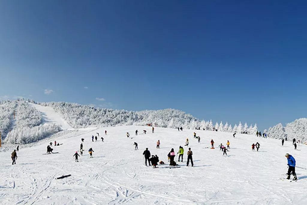 全球滑雪胜地盘点!年底冬季旅游,趣处多多!
