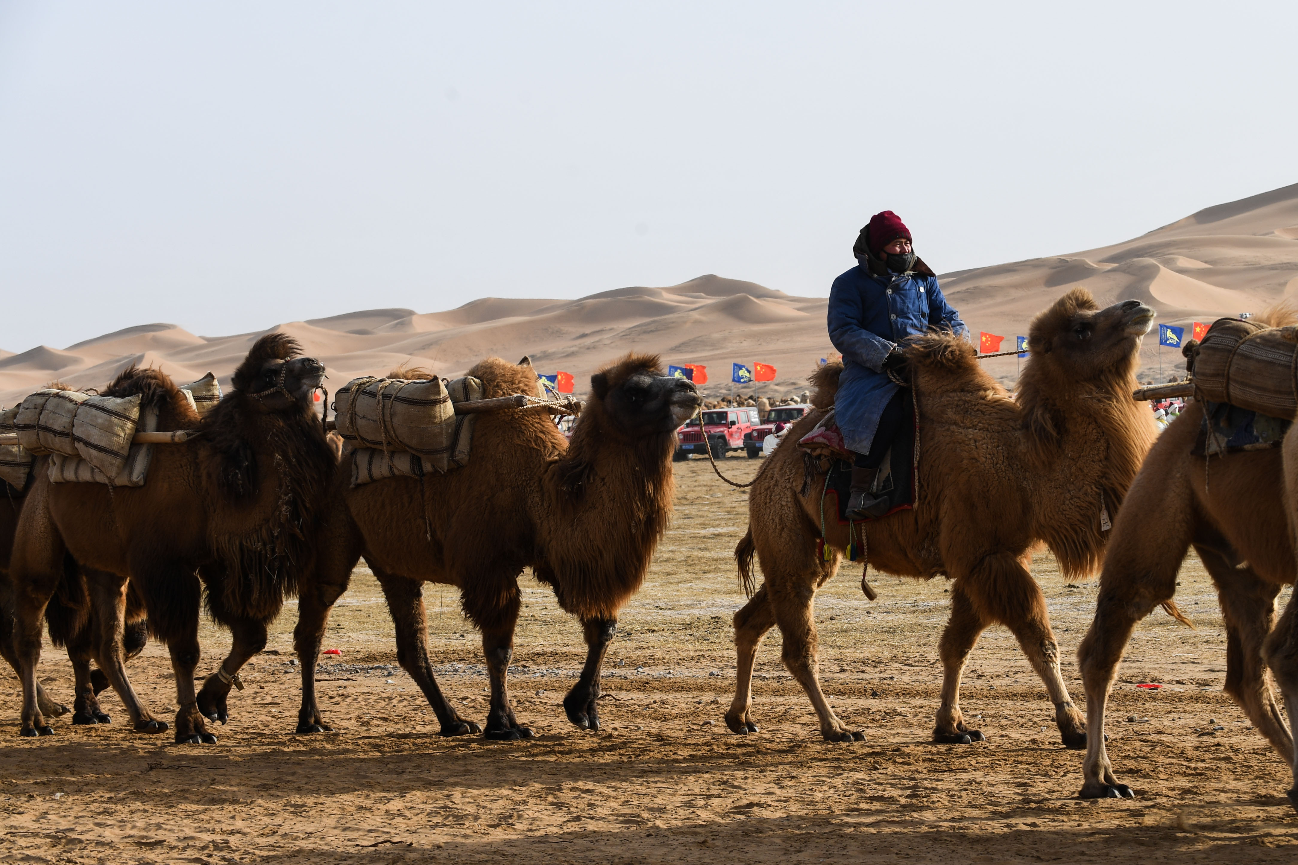 苍天秘境,驼铃声起……__凤凰网