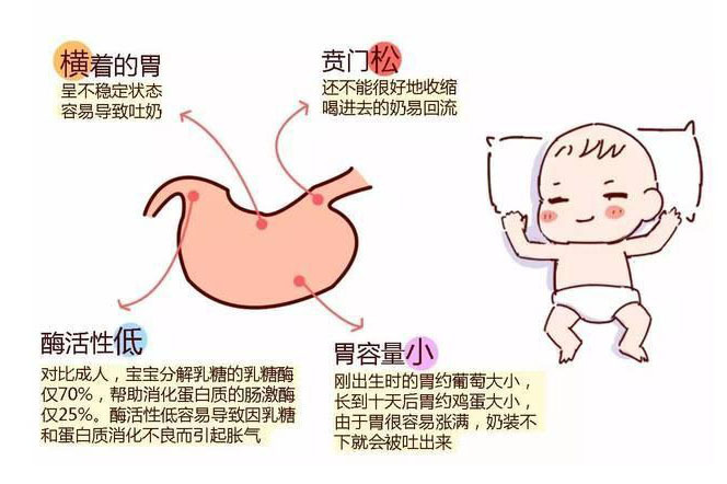 新生儿水平横胃图图片
