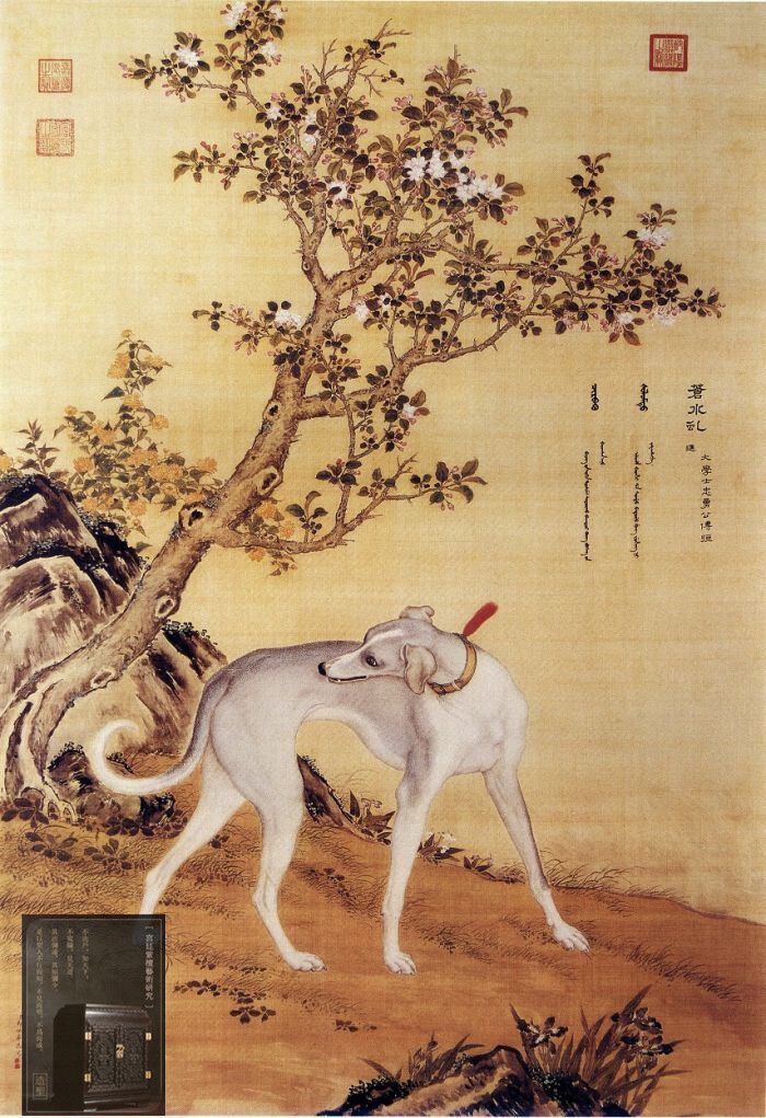 宫廷画经典赏析 郎世宁 十骏犬图 凤凰网