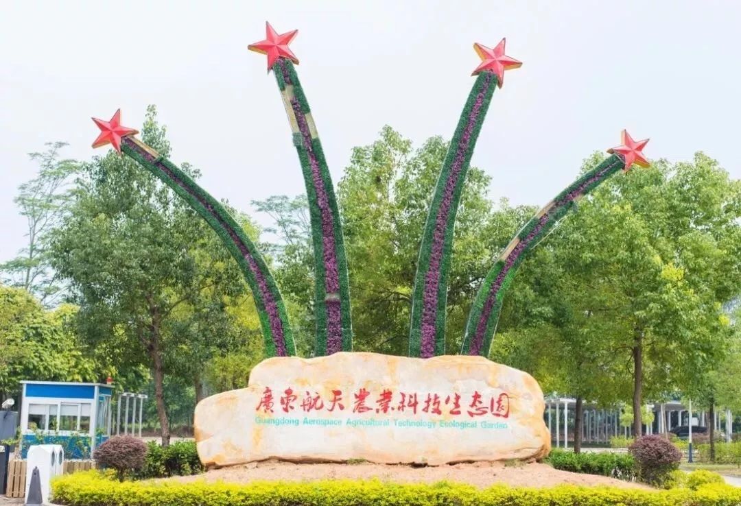 惠州博罗农科生态园多彩活动闹新春__凤凰网
