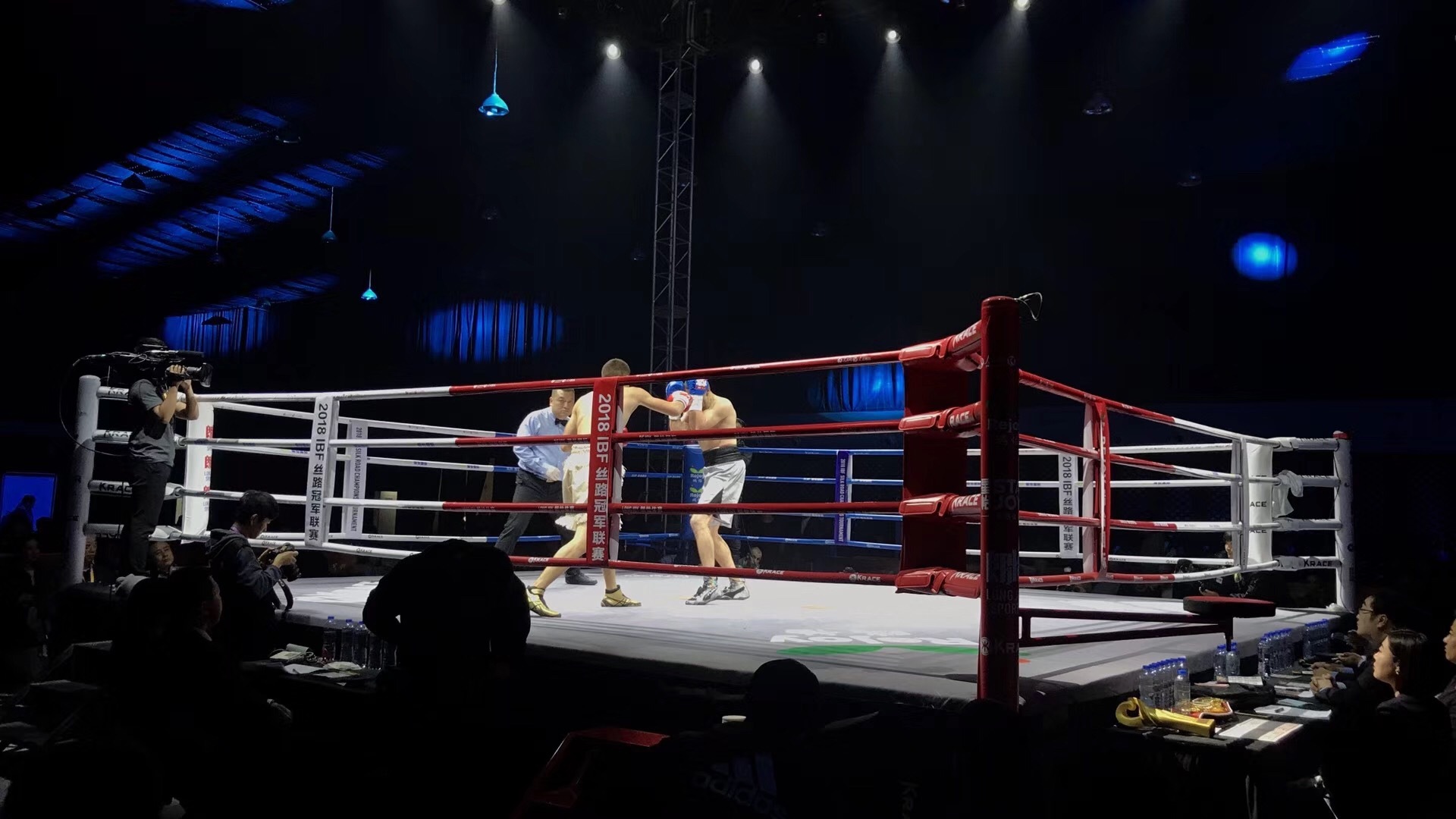 勇敢者的运动:拳击