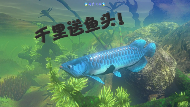 天铭海底大猎杀第二季02这条龙鱼口感极佳哦