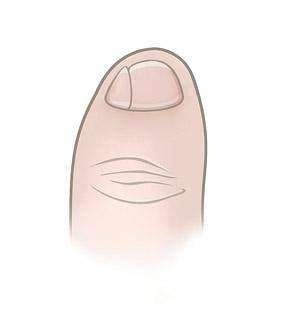 三,二,与一正好相反,说复趾是有匈奴血统.一,复趾的是纯血统汉人.