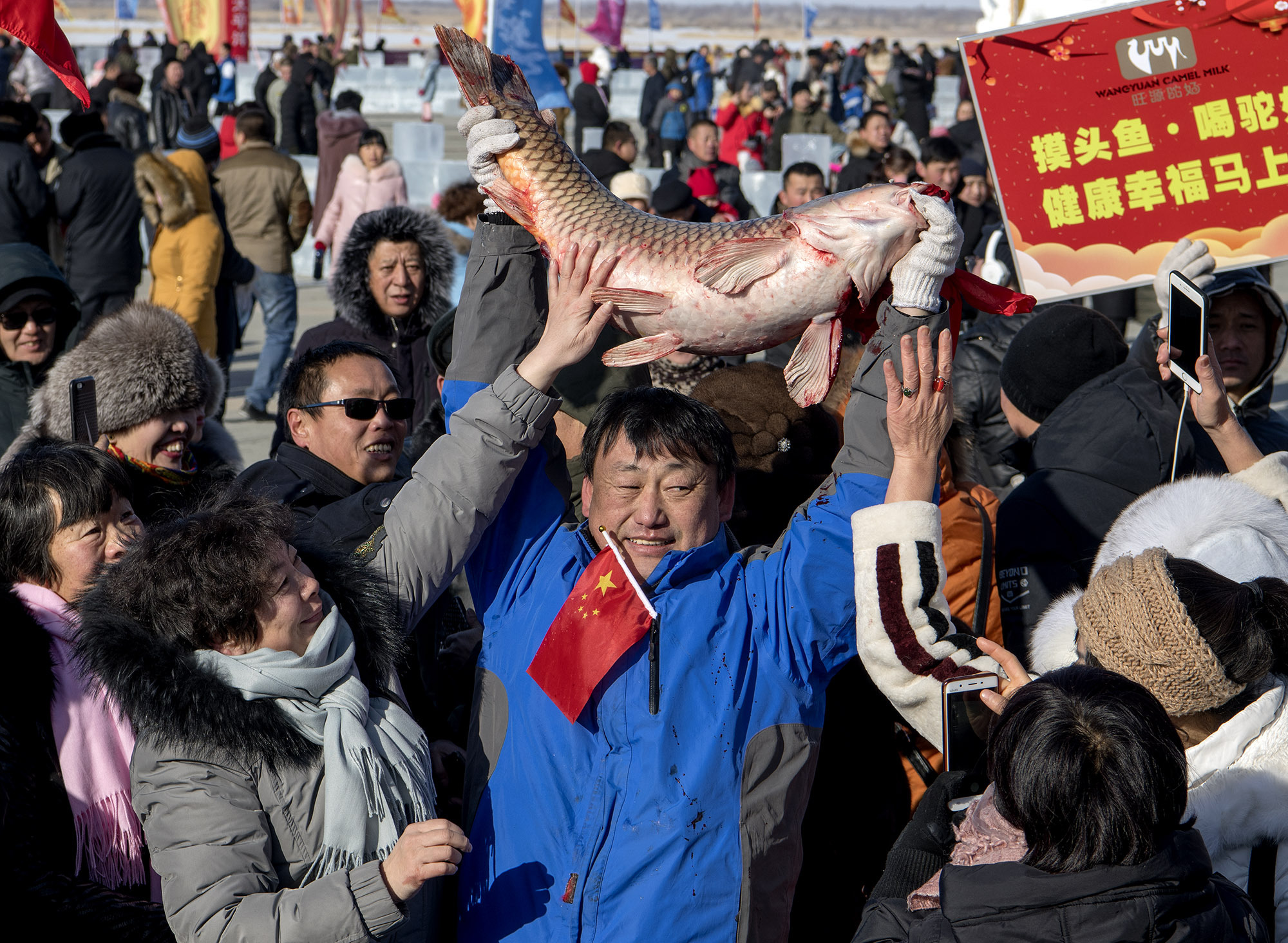 新疆福海县:冬捕节一条18.8公斤的头鱼拍出天价39.9999万元