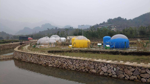 潍坊自来水水源地峡山水库出现大批死鱼