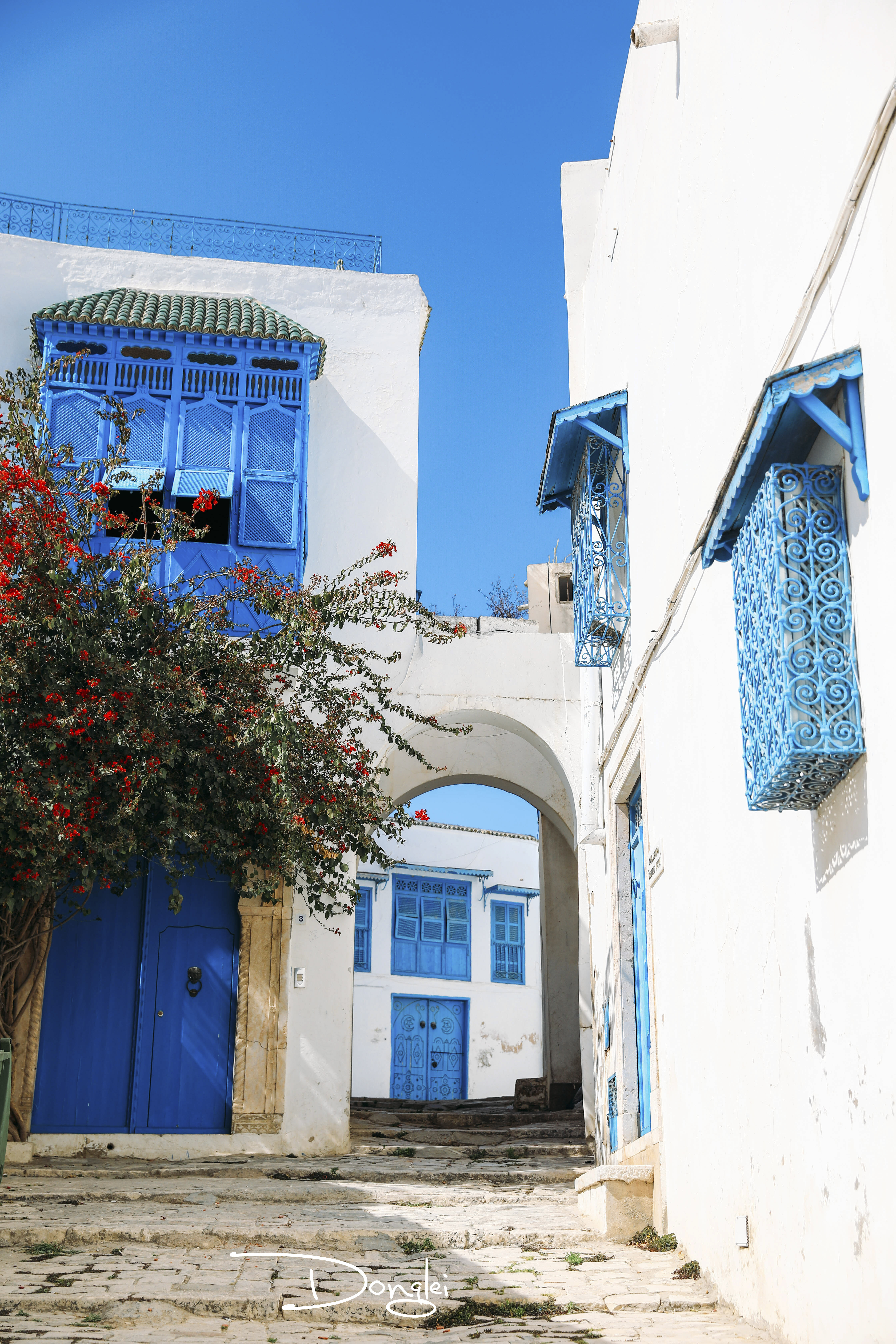 北非突尼斯,蓝白小镇的浪漫美景,一点不输圣托里尼啊!