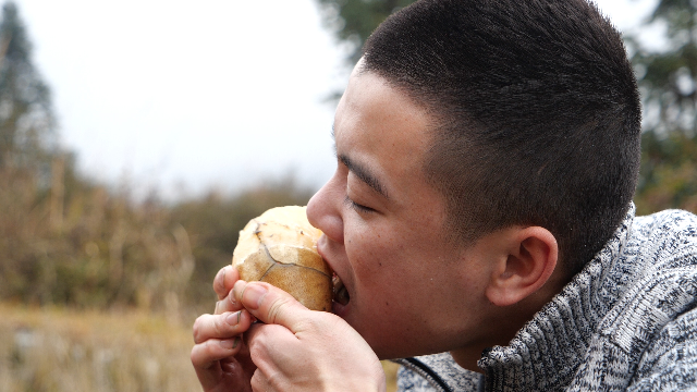 這不是紅薯也不是土豆,一口咬下去嘎嘣脆,原來是雪蓮果_鳳凰網視頻