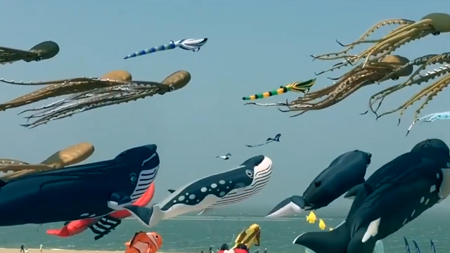 海洋主题风筝大趴体章鱼鲸鱼螃蟹飞满天