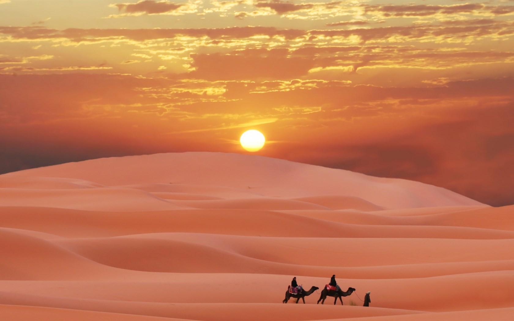沙漠温情--三毛《撒哈拉的故事》读后 _生活